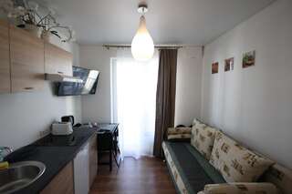 Апартаменты Ozas Apartment 1 and 2 Вильнюс-6