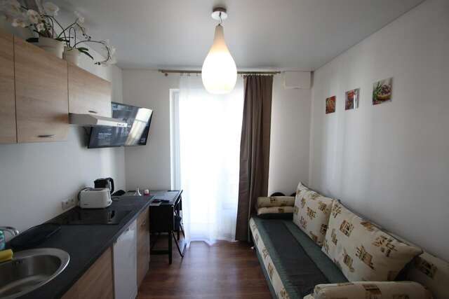 Апартаменты Ozas Apartment 1 and 2 Вильнюс-9